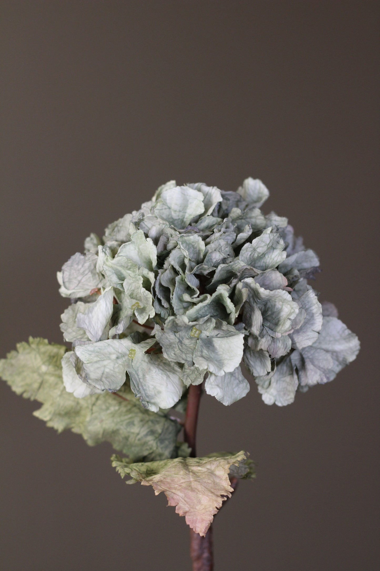Rustic Hydrangea Stem – Moss Green