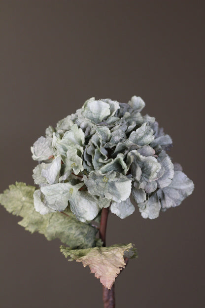 Rustic Hydrangea Stem – Moss Green