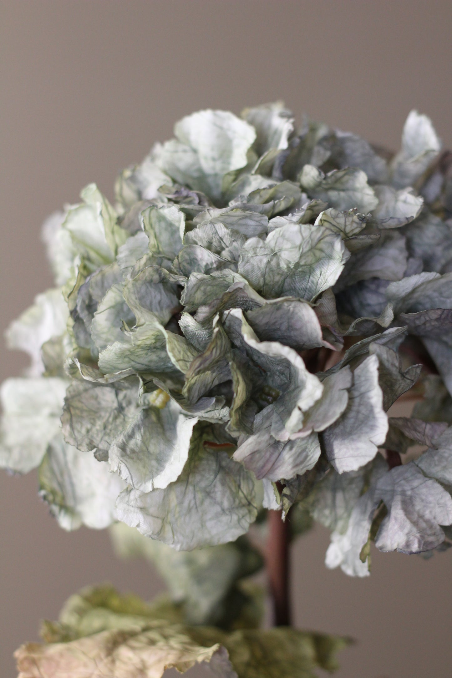 Rustic Hydrangea Stem – Moss Green