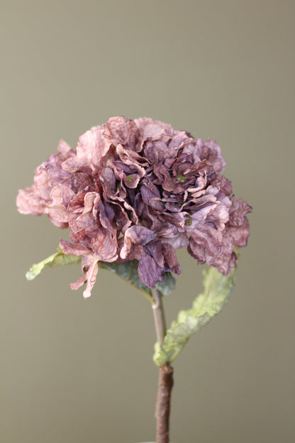 Rustic Hydrangea Stem – Mocha