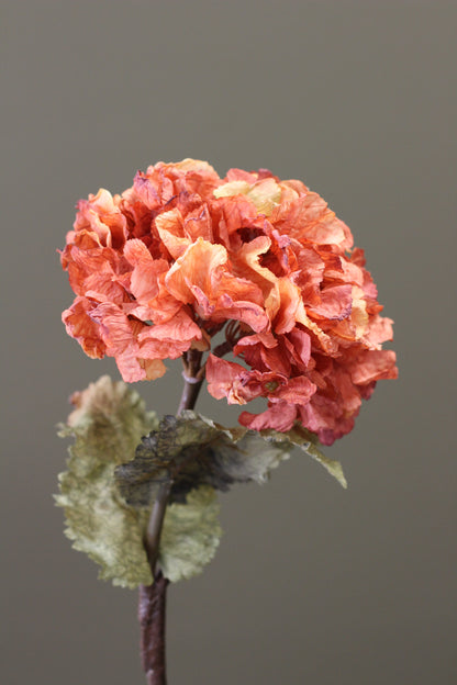 Rustic Hydrangea Stem – Burnt Orange