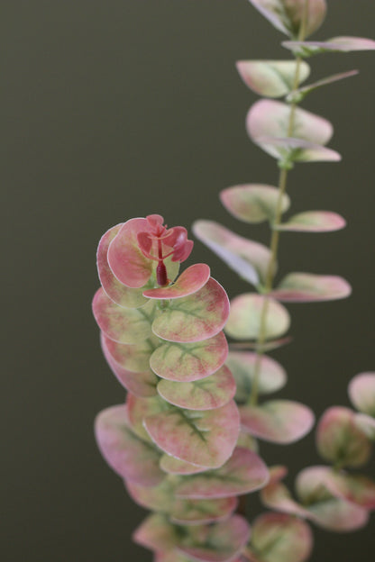 Blush & Sage Eucalyptus Stem