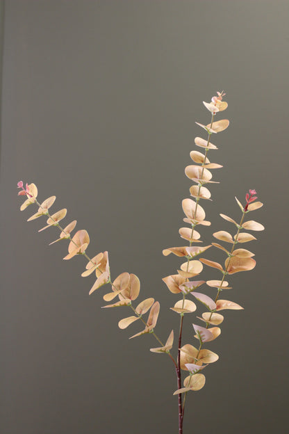 Burnished Orange Eucalyptus Stem
