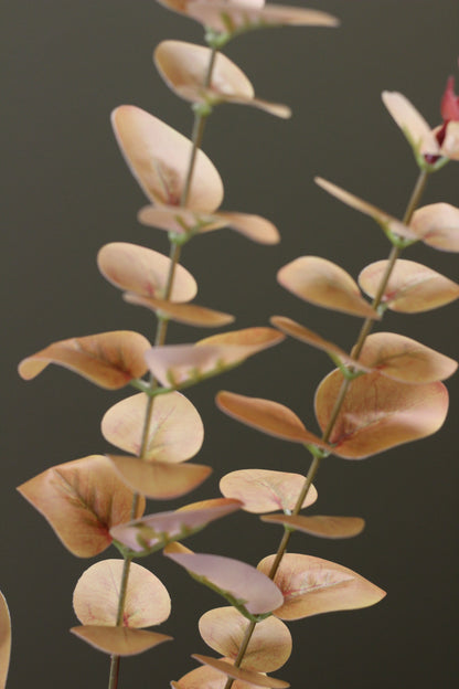 Burnished Orange Eucalyptus Stem