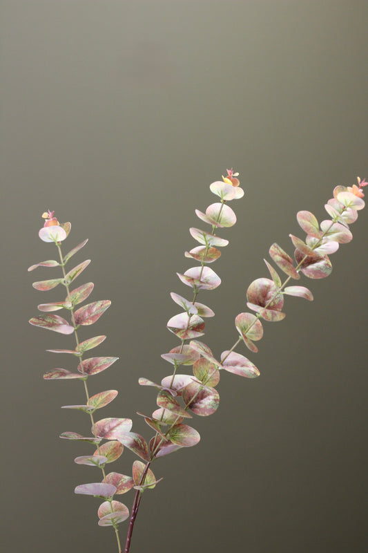 Olive & Umber Eucalyptus Stem