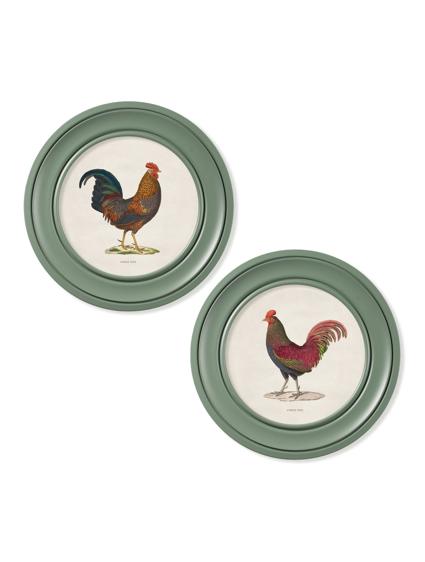 c.1838 Junglefowl in Round Frames Green – framed wall art at Leya Buster Interiors