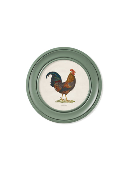 c.1838 Junglefowl in Round Frames Green styled view – Leya Buster Interiors