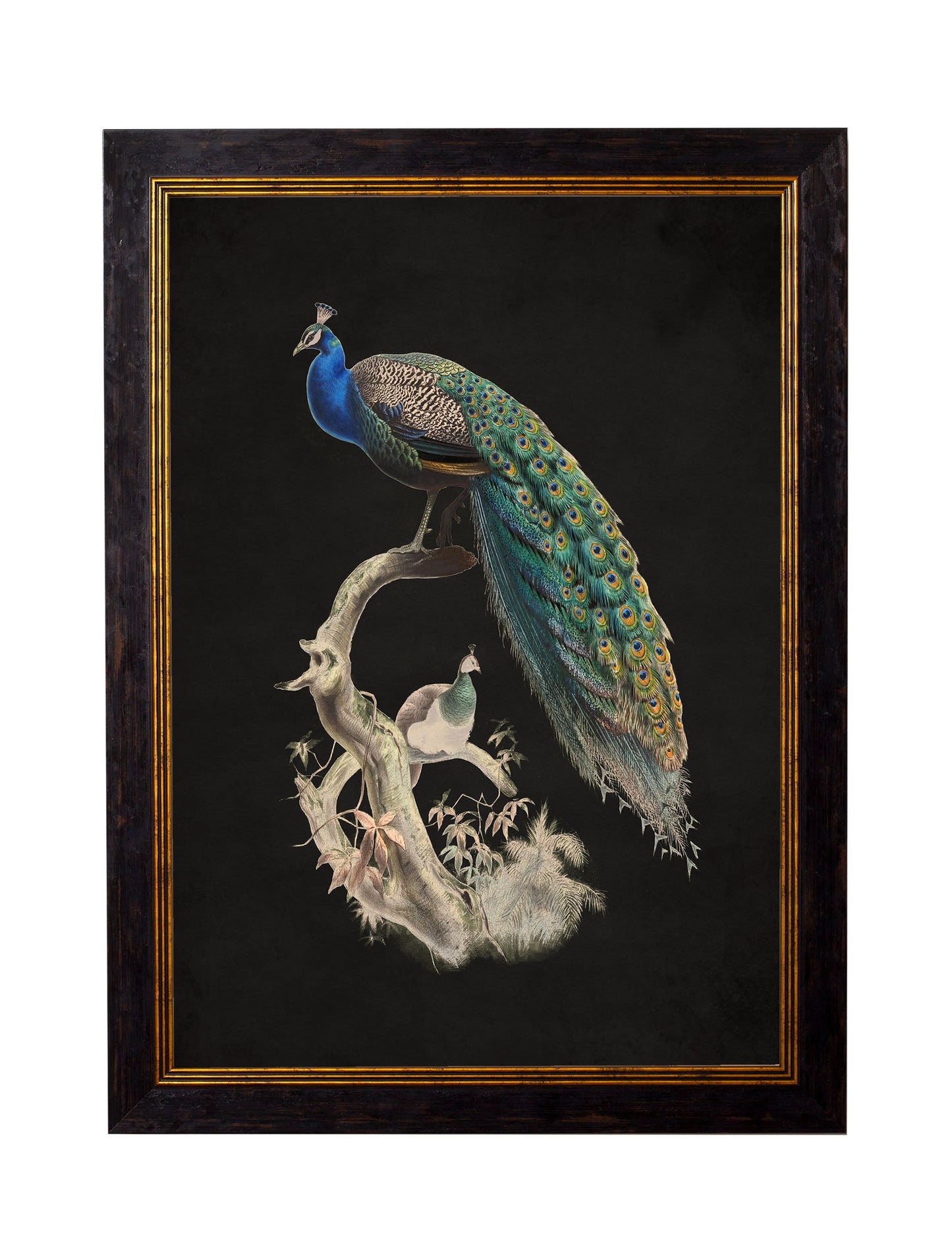 c.1847 Peacocks – Dark styled view – Leya Buster Interiors