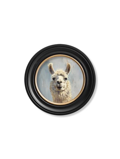 The Goofy Llama – Oxford Round Frame styled view – Leya Buster Interiors