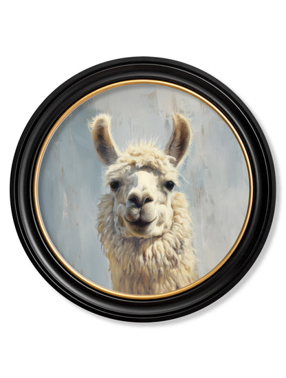The Goofy Llama – Oxford Round Frame detail – Leya Buster Interiors