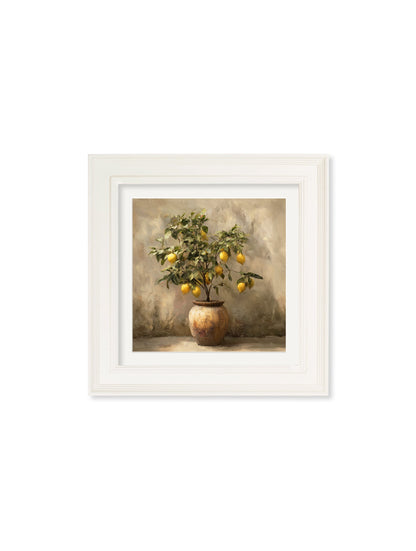 Mediterranean Lemon Tree – Cream Hurstwood Square Frame styled view – Leya Buster Interiors