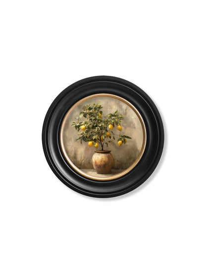 Mediterranean Lemon Tree – Oxford Round Frame styled view – Leya Buster Interiors