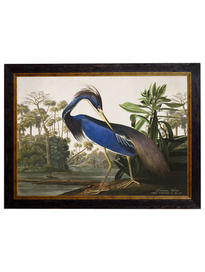 c.1838 Audubon's Herons styled view – Leya Buster Interiors