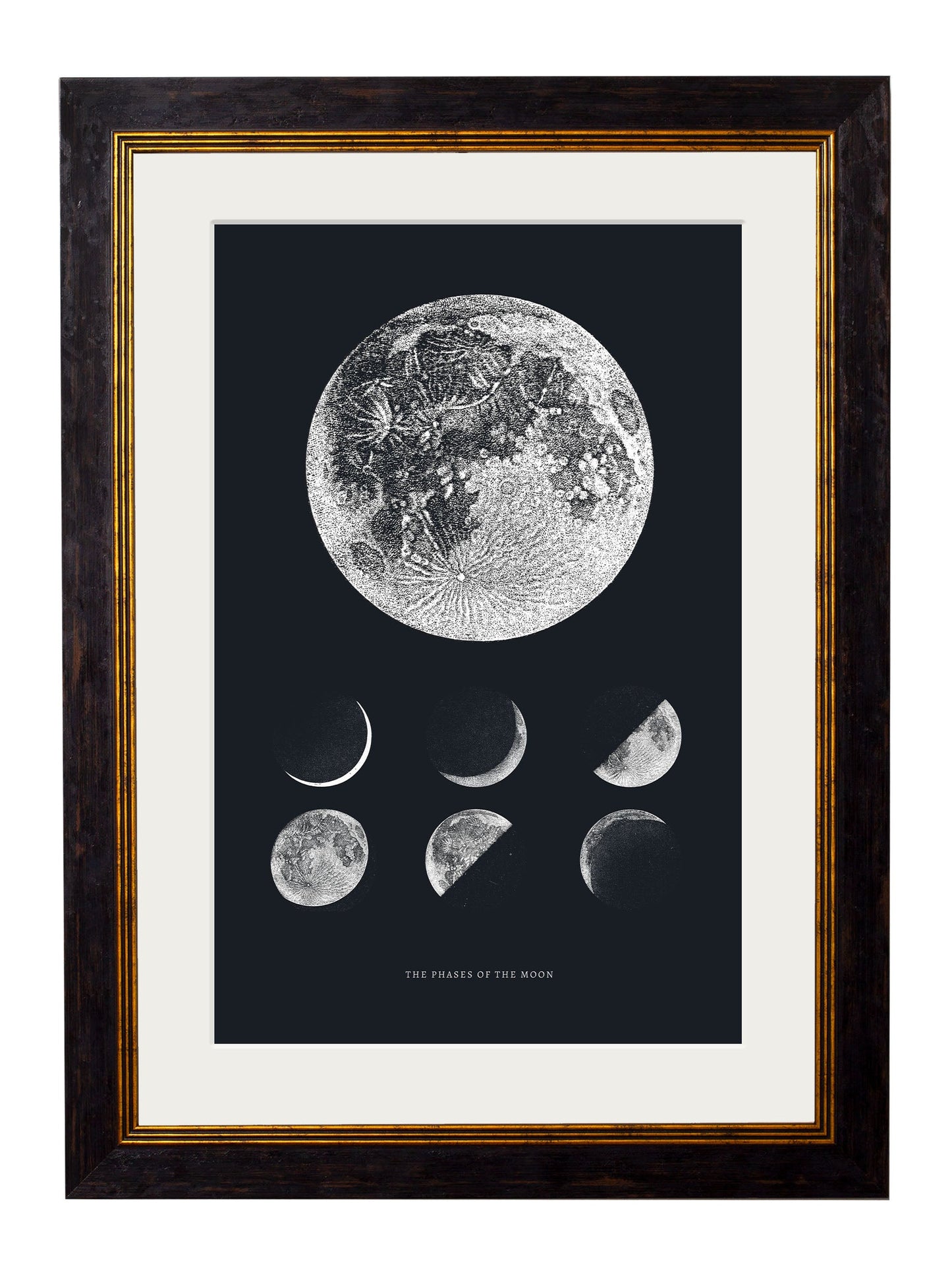 c.1800 Phases of the Moon styled view – Leya Buster Interiors