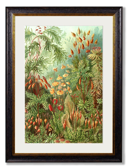 c.1904 Haeckel Flora styled view – Leya Buster Interiors