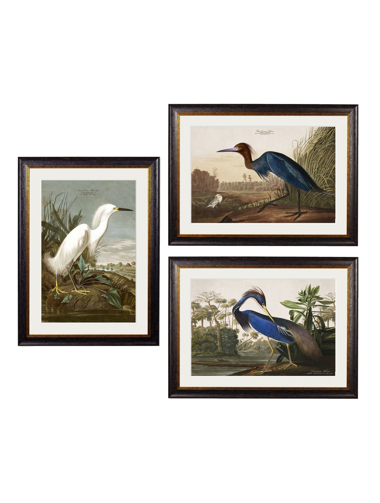 c.1838 Audubon's Herons styled view – Leya Buster Interiors