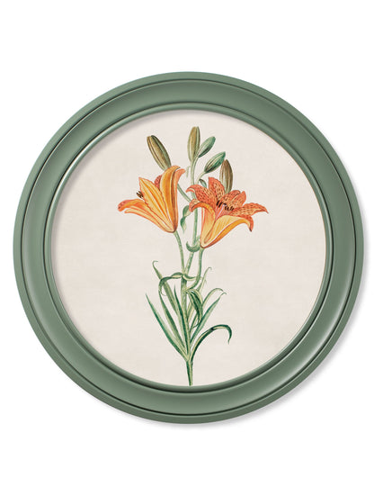 c.1780 Flowering Plants Round Frame Green styled view – Leya Buster Interiors
