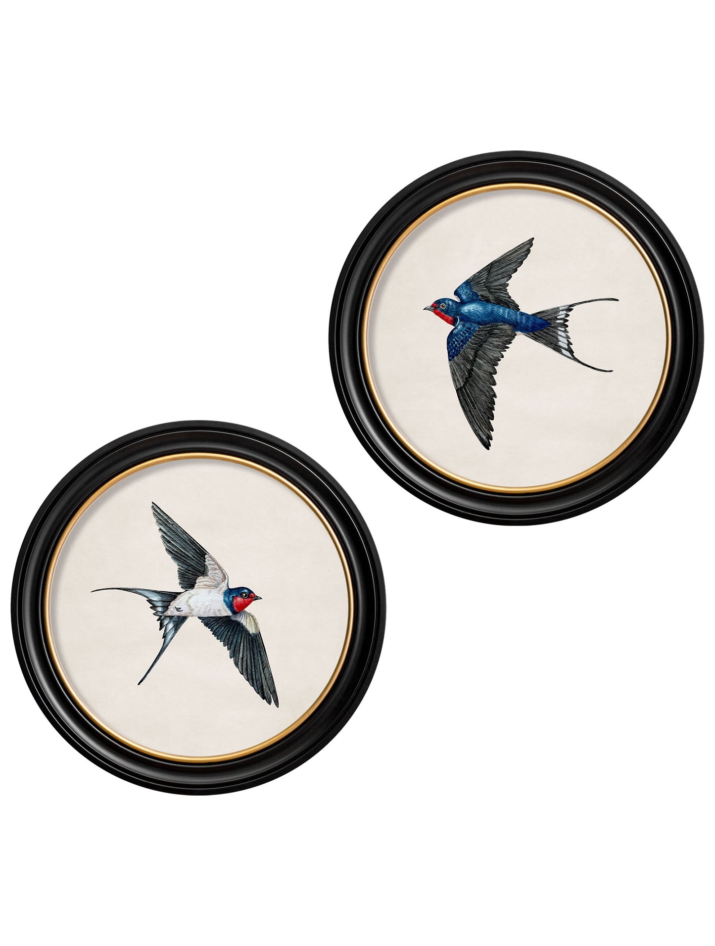 c.1875 Swallows in Round Frames detail – Leya Buster Interiors