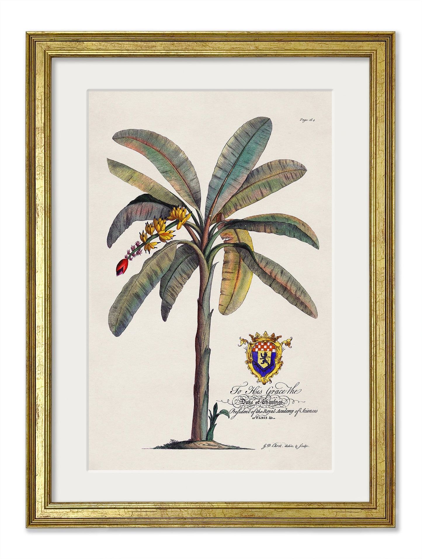Studies of Palms styled view – Leya Buster Interiors