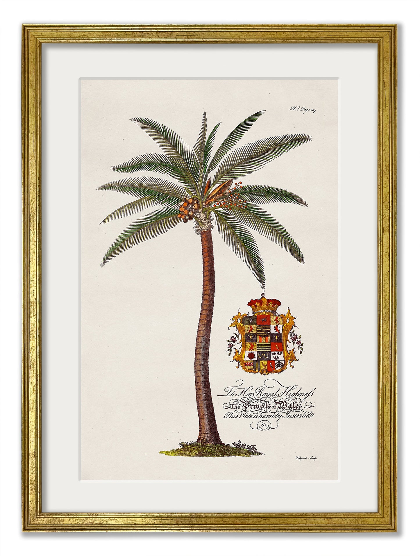 Studies of Palms styled view – Leya Buster Interiors