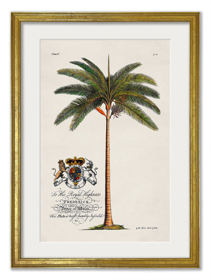 Studies of Palms styled view – Leya Buster Interiors