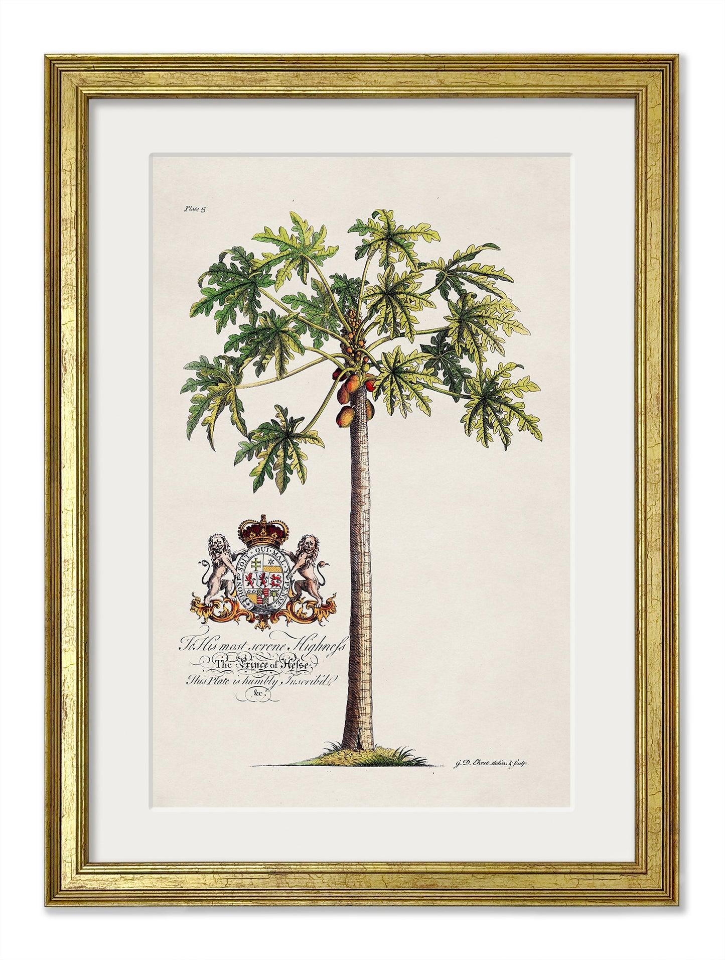 Studies of Palms styled view – Leya Buster Interiors