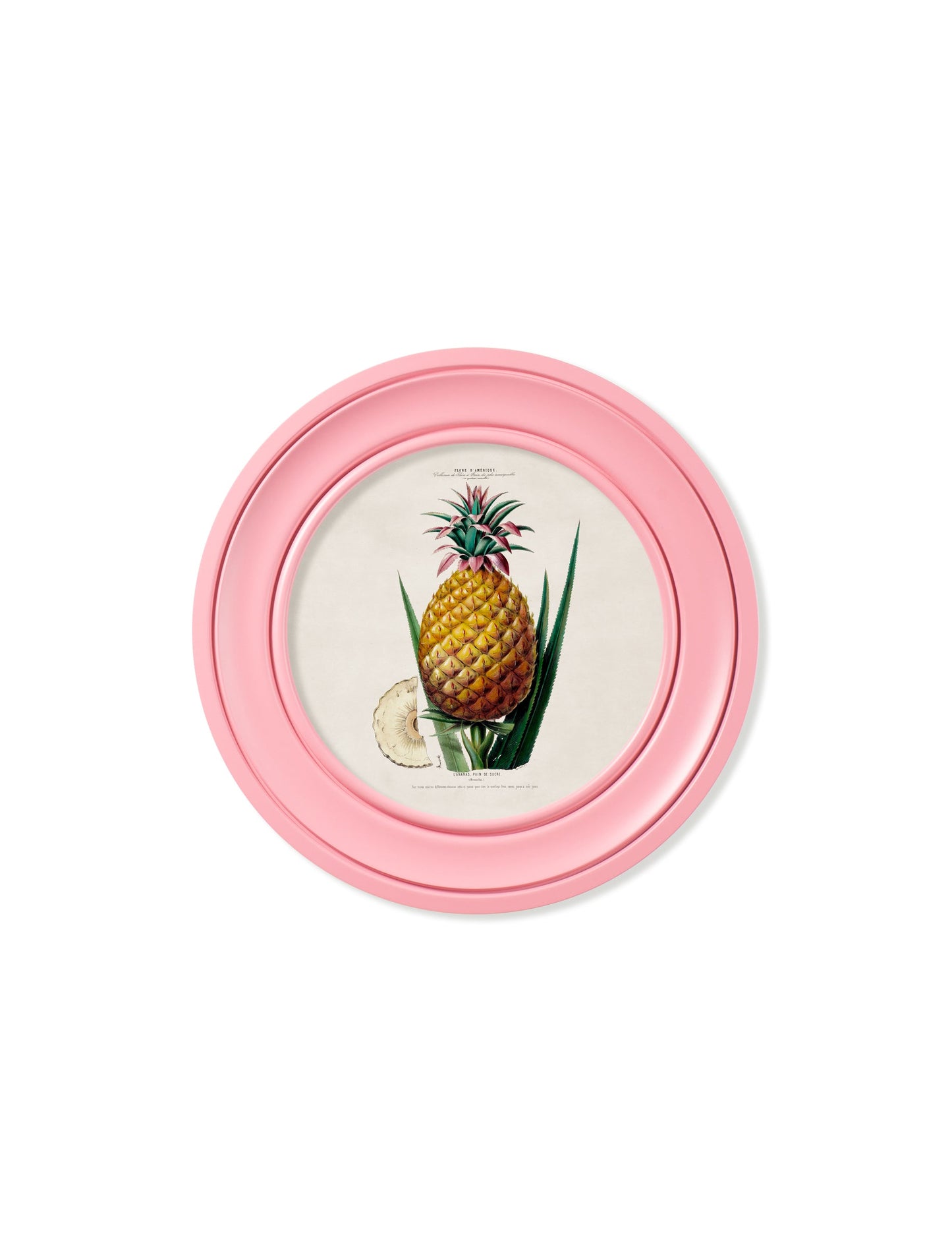 c.1843 Pineapple Plant – Round Frame Pink – framed wall art at Leya Buster Interiors