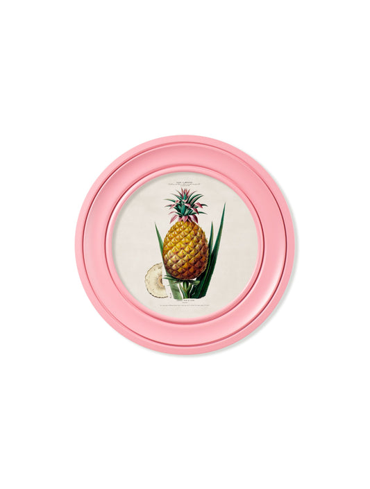 c.1843 Pineapple Plant - Round Frame Pink