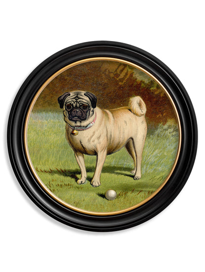 c.1881 Dogs – Round Frame styled view – Leya Buster Interiors