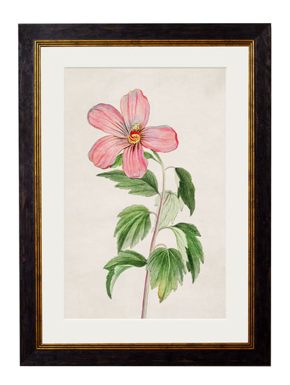 c.1780 Flowering Plants styled view – Leya Buster Interiors