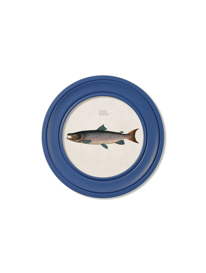 c.1785 Studies of Salmon – Round Frame Blue styled view – Leya Buster Interiors