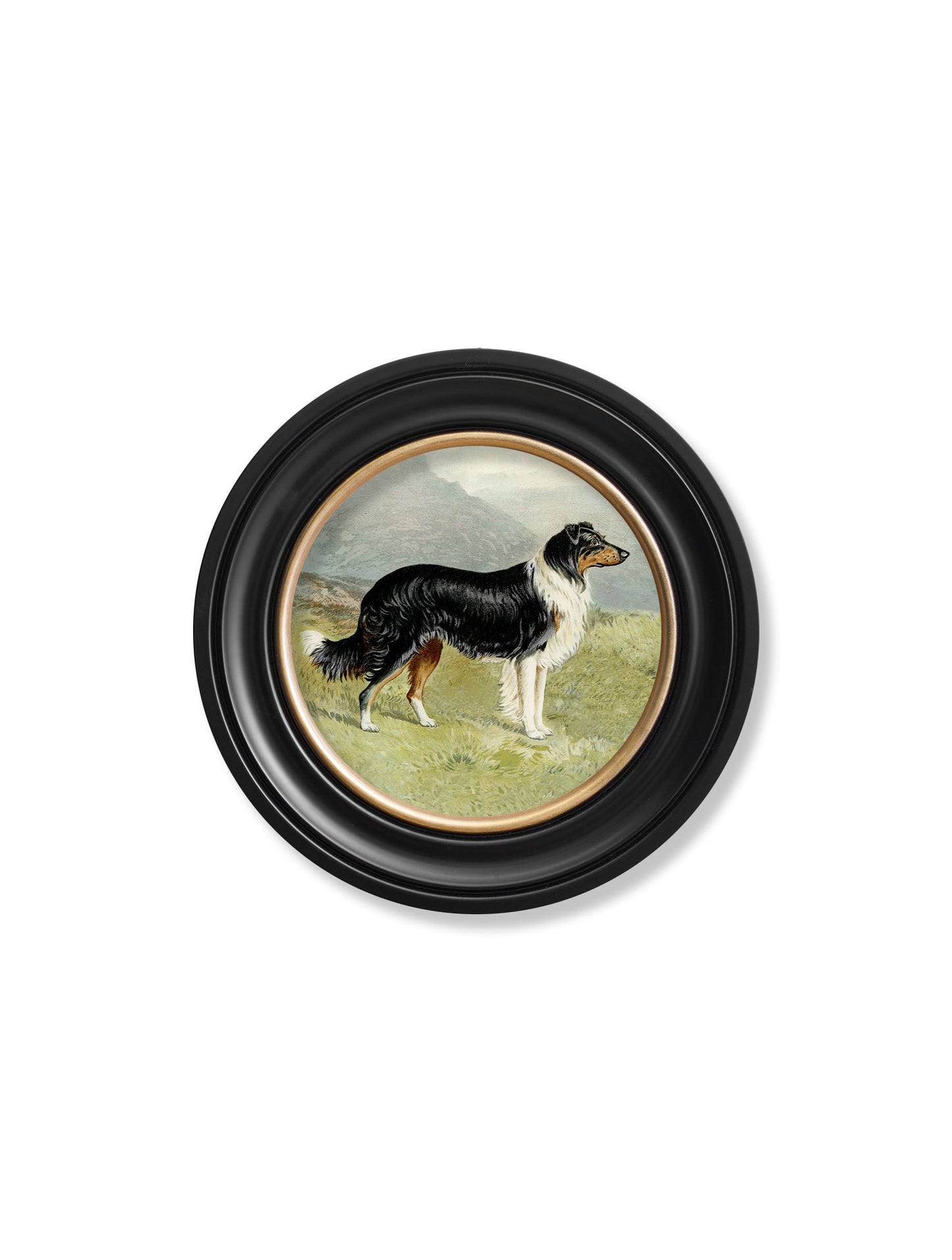 c.1881 Working Dogs – Round Frame styled view – Leya Buster Interiors