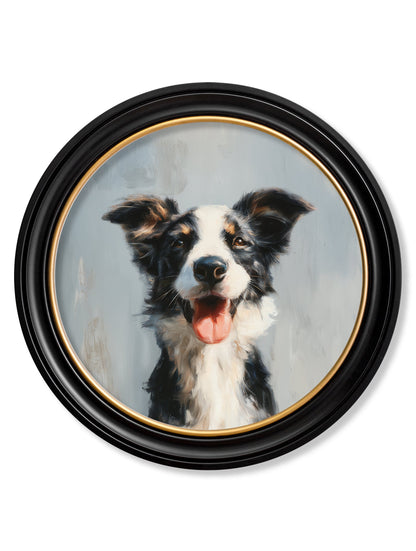 The Smiley Sheepdog – Oxford Round Frame detail – Leya Buster Interiors