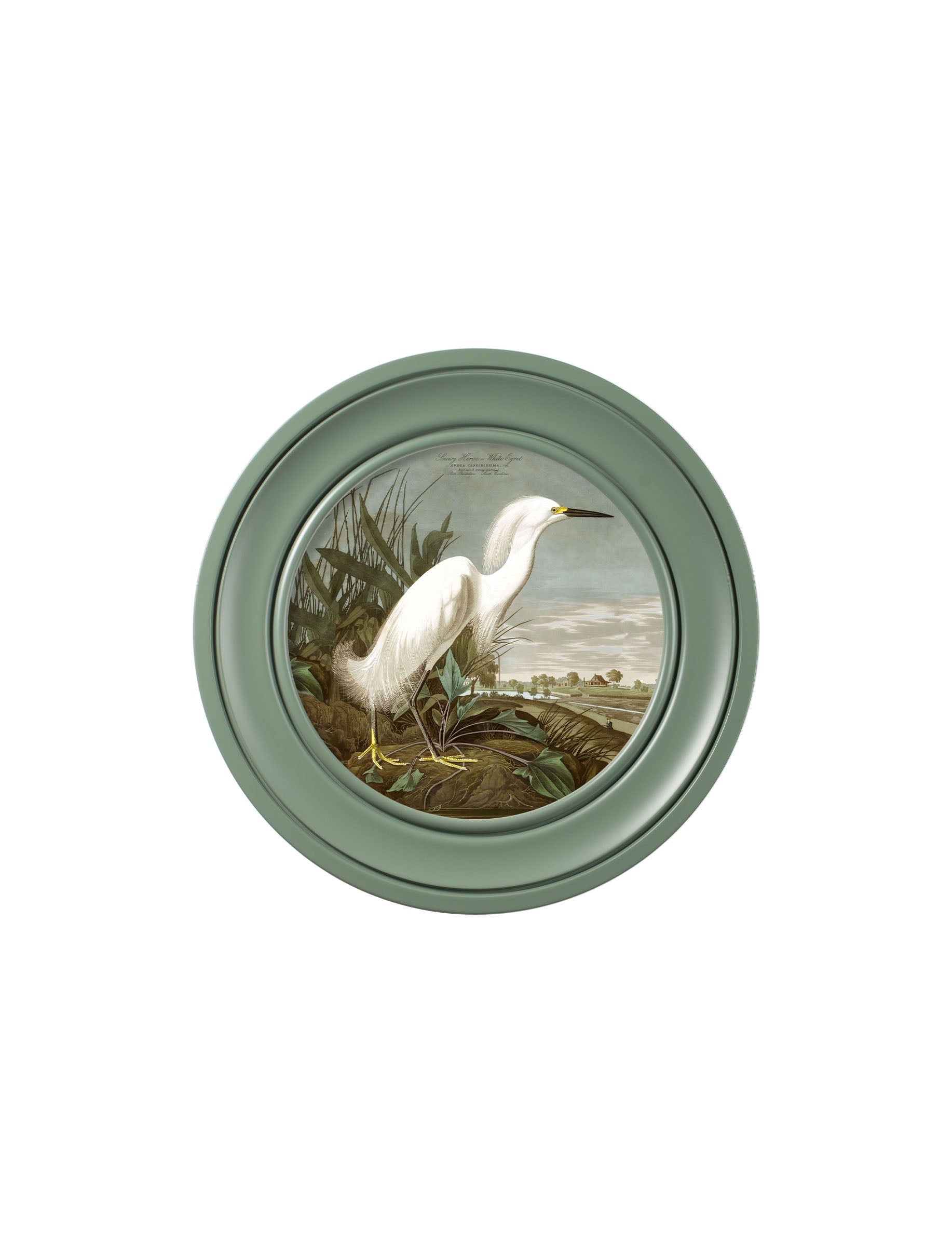 c.1838 Audubon's Snowy Heron in Green Frame styled view – Leya Buster Interiors