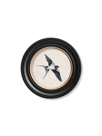 c.1875 Swallows in Round Frames styled view – Leya Buster Interiors