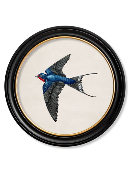c.1875 Swallows in Round Frames styled view – Leya Buster Interiors