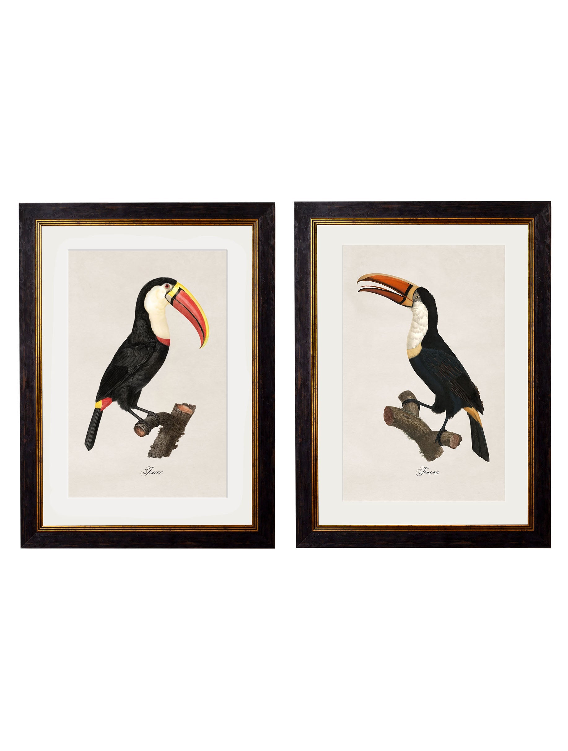 c.1809 Toucans detail – Leya Buster Interiors