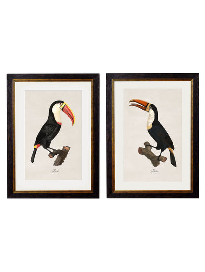 c.1809 Toucans detail – Leya Buster Interiors