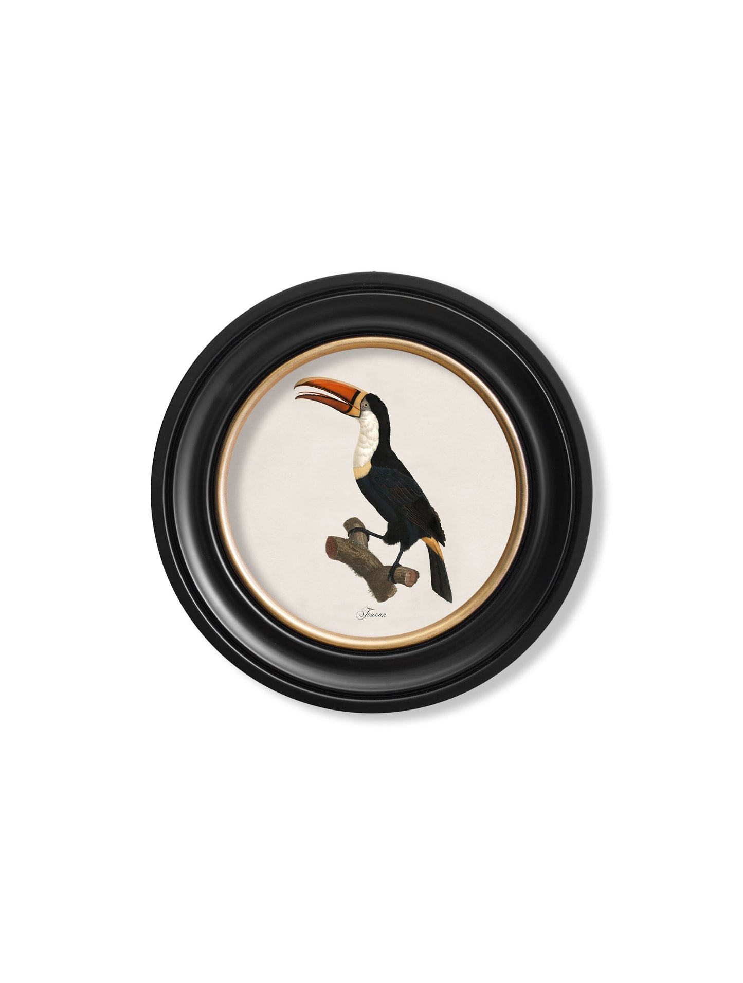 c.1809 Toucans – Round Frame styled view – Leya Buster Interiors
