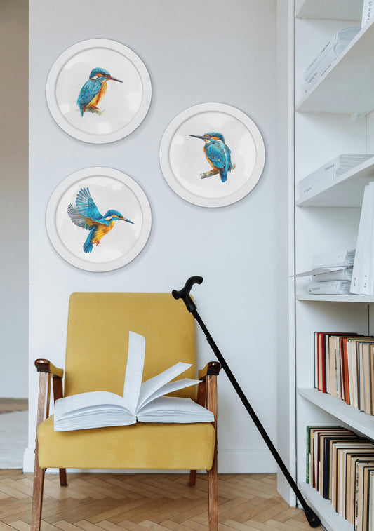 Watercolour Kingfishers - 30cm White Round Box Frame