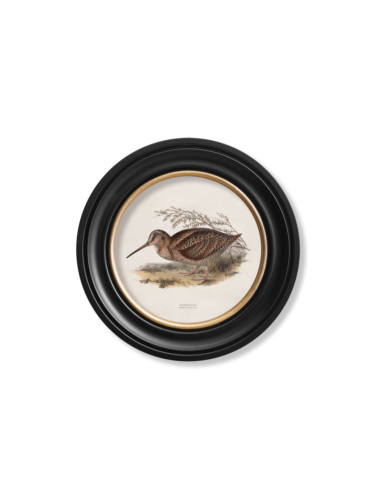 c.1837's British Game Birds – Round styled view – Leya Buster Interiors