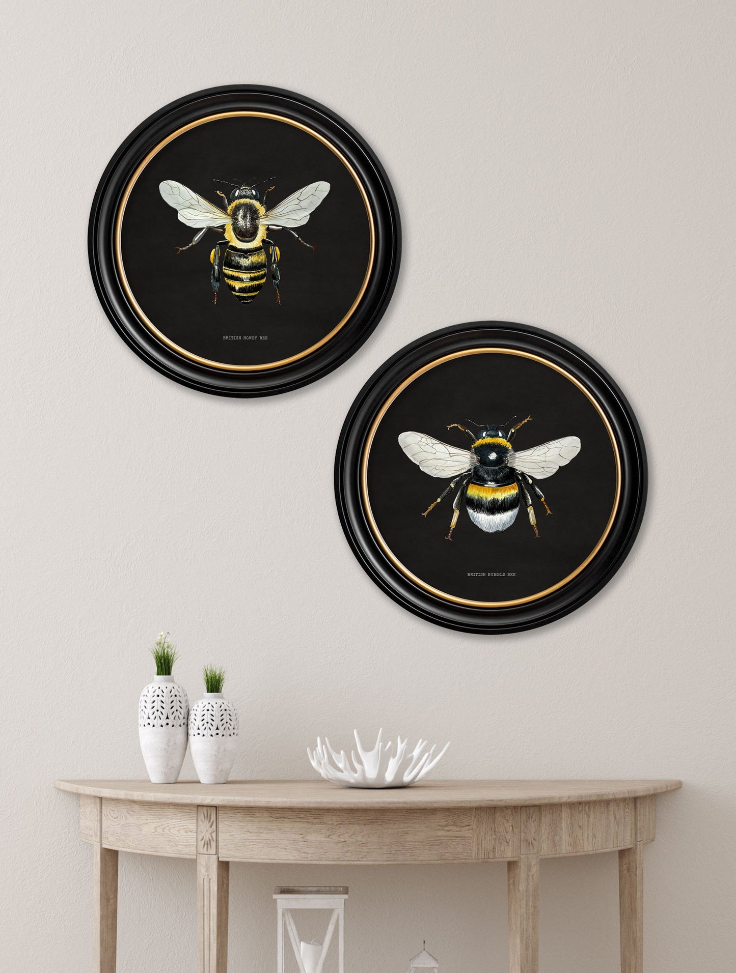 c892 British Bees Round Frame – Dark – framed wall art at Leya Buster Interiors