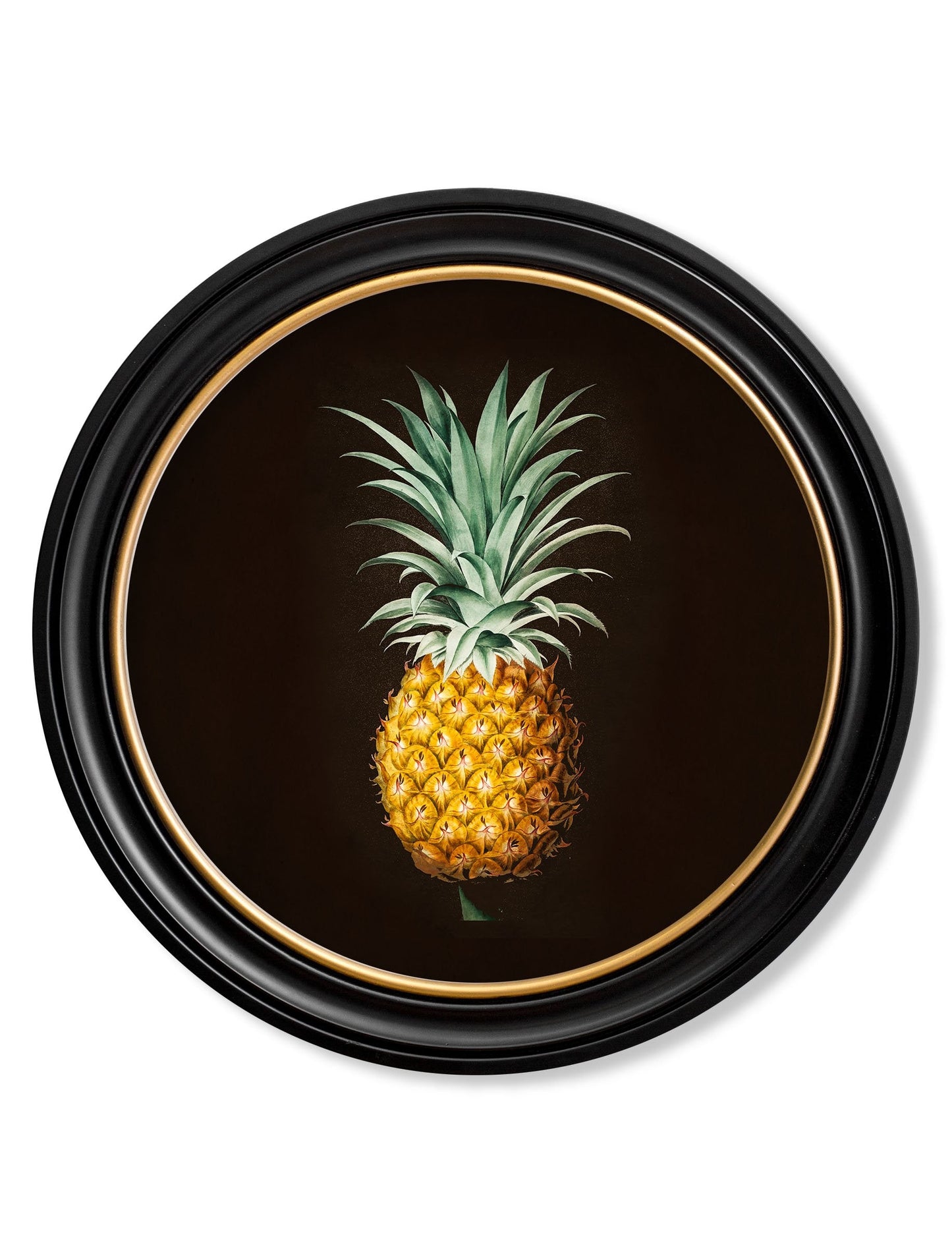 c.1812 Pineapple Study (Black) – Round Frame detail – Leya Buster Interiors