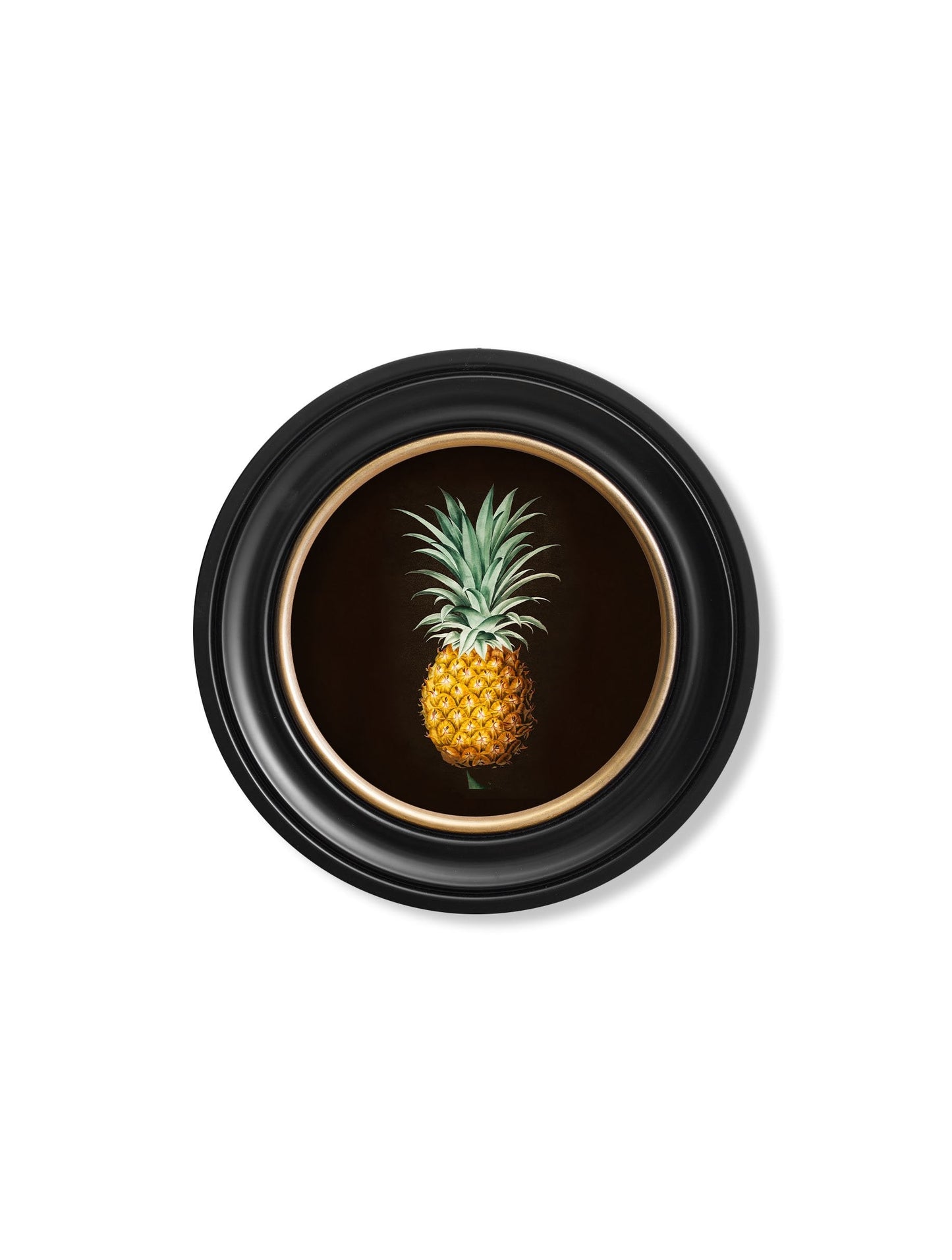 c.1812 Pineapple Study (Black) – Round Frame styled view – Leya Buster Interiors