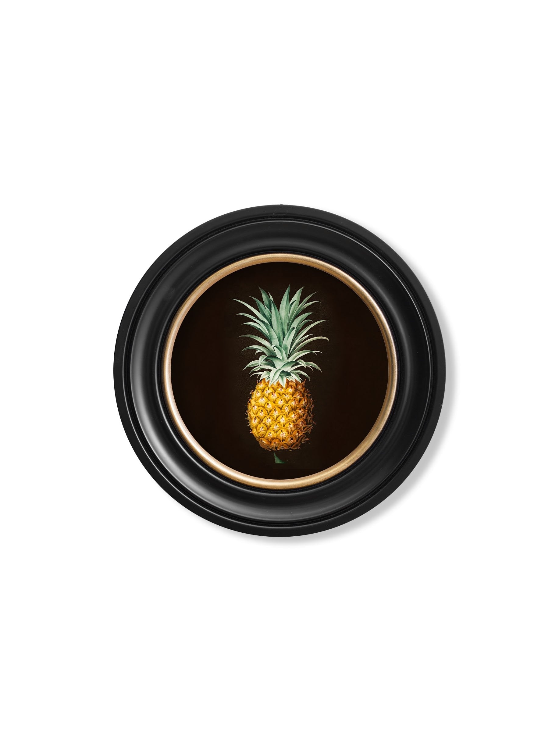 c.1812 Pineapple Study (Black) – Round Frame styled view – Leya Buster Interiors