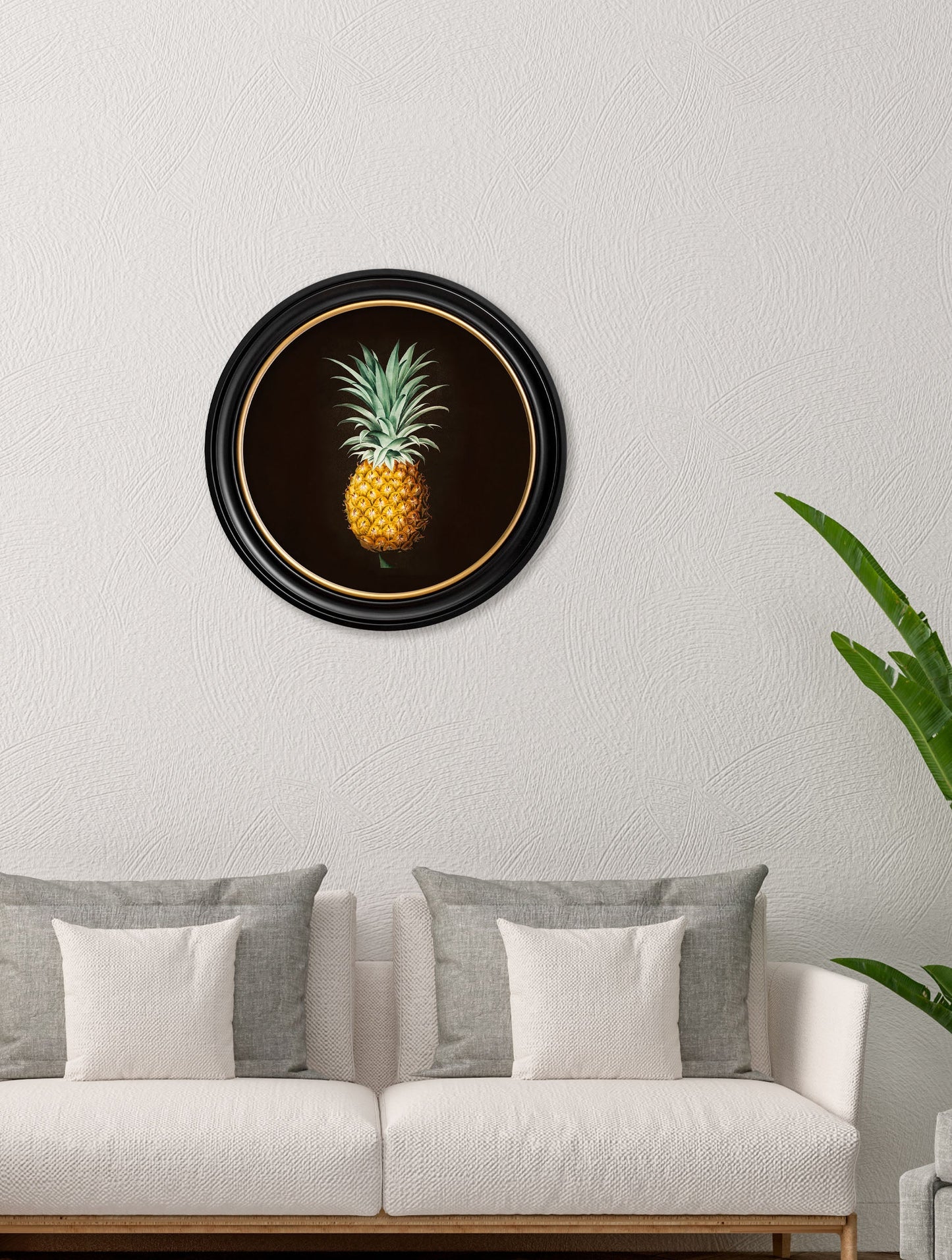 c.1812 Pineapple Study (Black) – Round Frame – framed wall art at Leya Buster Interiors