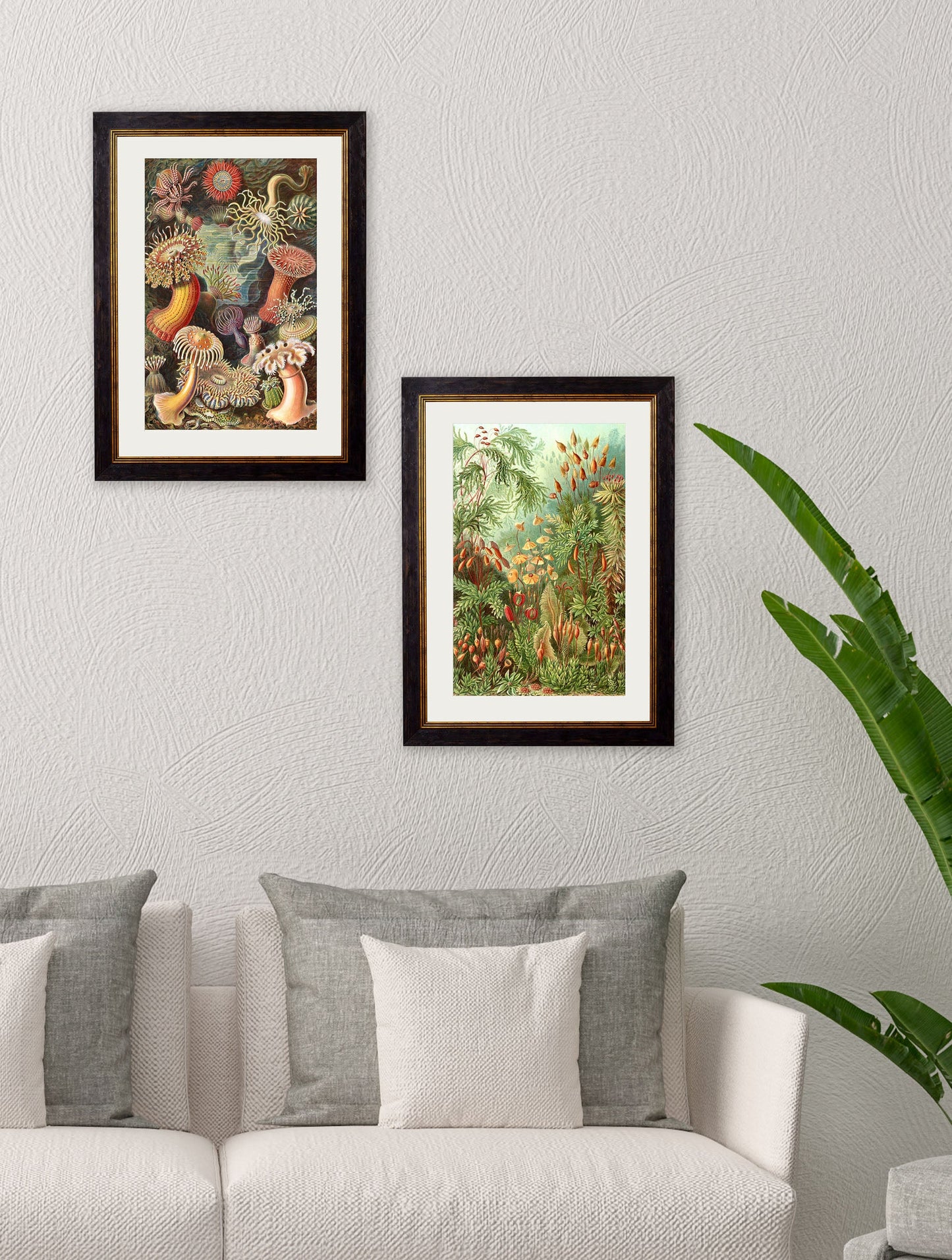 c.1904 Haeckel Flora – framed wall art at Leya Buster Interiors