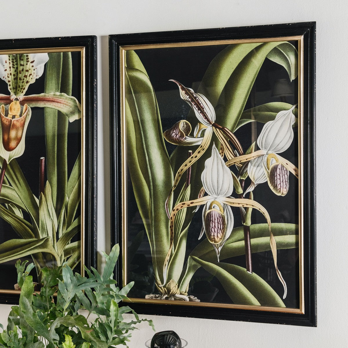 Green Lilly Framed Wall Art Set 2