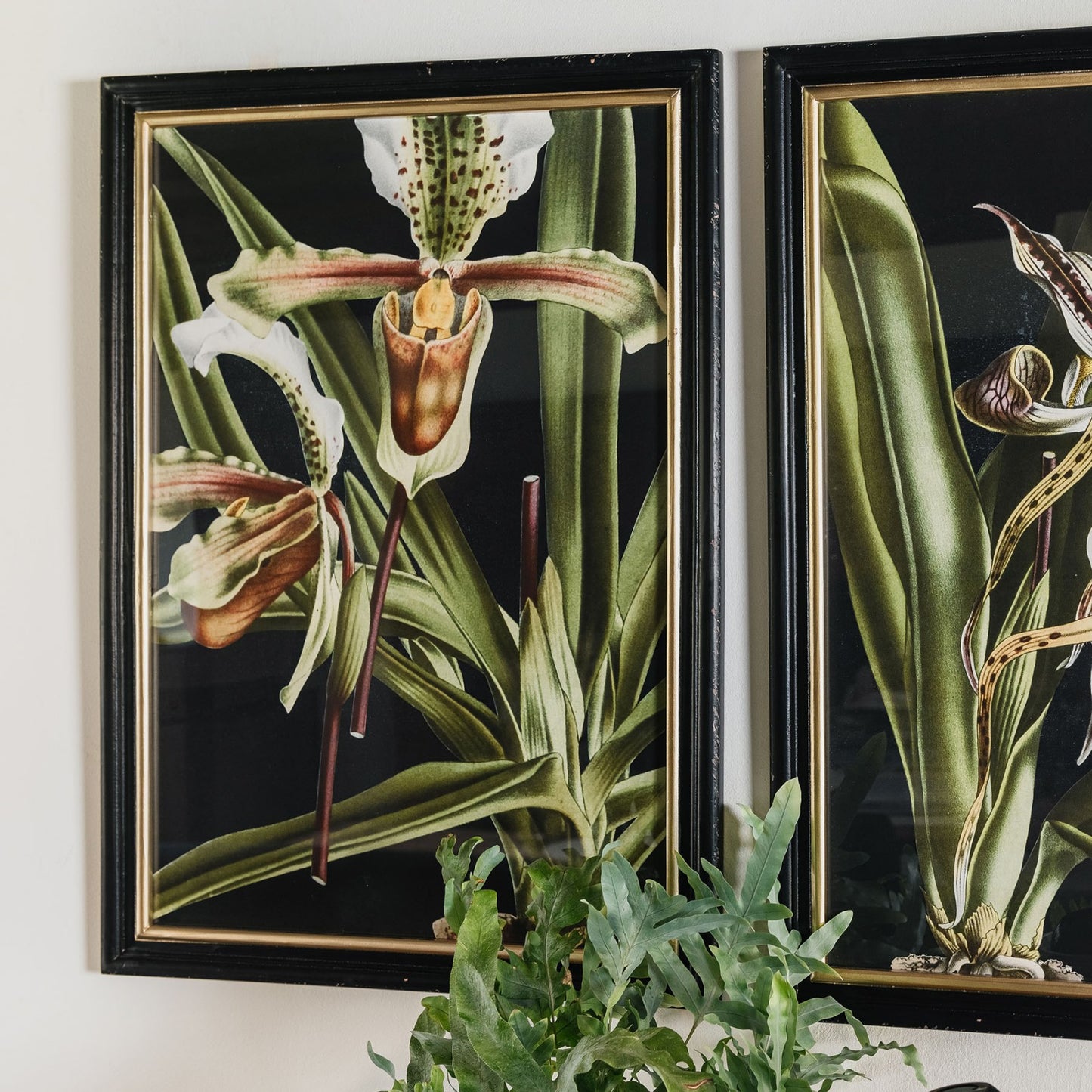 Green Lilly Framed Wall Art Set 2