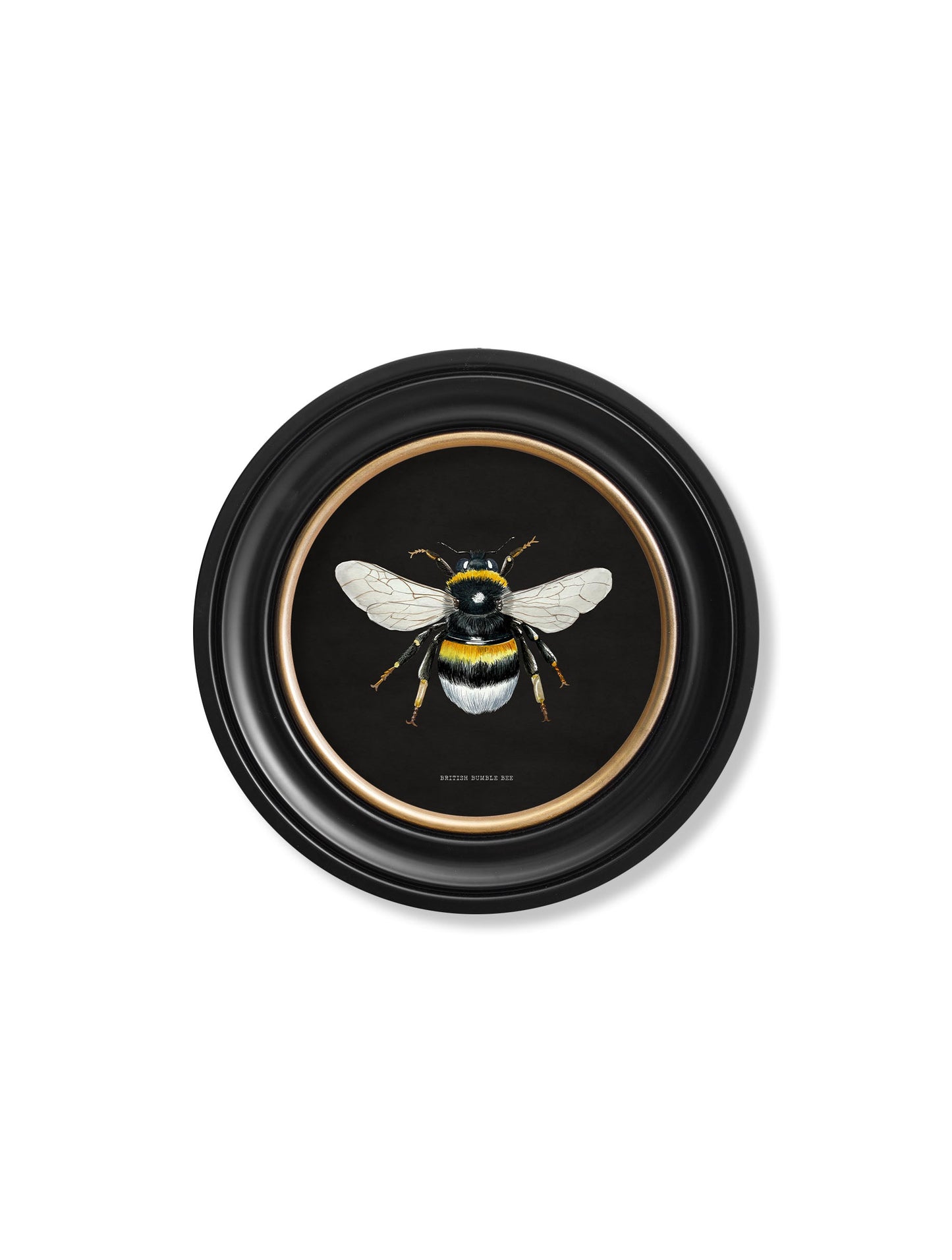 c892 British Bees Round Frame – Dark styled view – Leya Buster Interiors